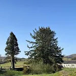 Tatil Evi Fabulous 4 Bedroom House, Gateway To Connemara
