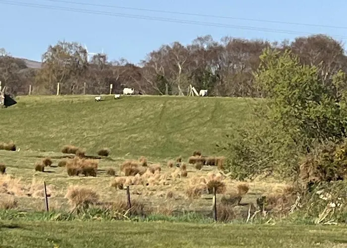 Fabulous 4 Bedroom House, Gateway To Connemara * 골웨이