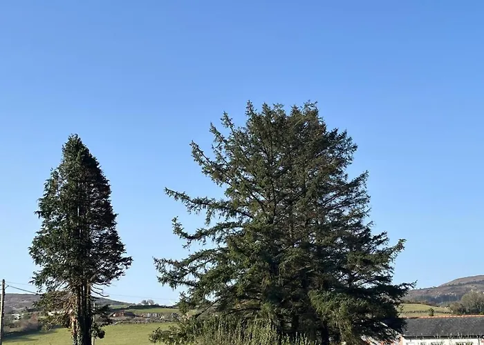 펜션 Fabulous 4 Bedroom House, Gateway To Connemara